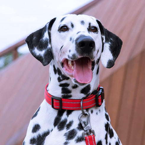 EXCELLENT ELITE SPANKER Reflective Dog Collar - Classic Soft Padded Breathable Nylon Adjustable for Small Medium Large