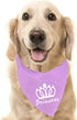 PUPTECK Dog Bandana - Triangle Bibs Scarf Pet Accessories, Photo Prop for