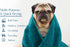 DAN RIVER 100% Cotton Dog Bath Towel, Ultra Soft 450 GSM, Quick Drying, Lint-Free Cat and Dog Grooming Towel, 20x40