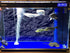 VIP. LINE 3D Effect Black Stone Texture Aquarium Background Poster, 60" x 30" PVC Decorations