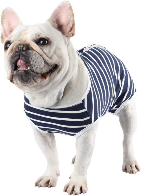 Etdane Dog Diapers Sanitary Panties for Male and Female Dogs, Physiological Period Shirts, Blue/X-Small