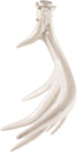 Browning Antler Chew Toy, White