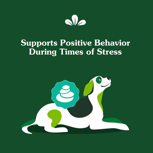 7.3 oz. 40 Count Greenies Supplements Calming Chews for Dogs Chicken Flavor, Dog Calming Chews, Container