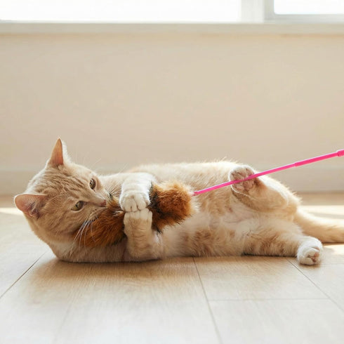 Apojgitn 5Pcs Set Cat Toys for Indoor Toys, Interactive Cat Wand Toy Interactive Pet Kitten Teaser Soft Plush Teaser