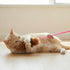 Apojgitn 5Pcs Set Cat Toys for Indoor Toys, Interactive Cat Wand Toy Interactive Pet Kitten Teaser Soft Plush Teaser