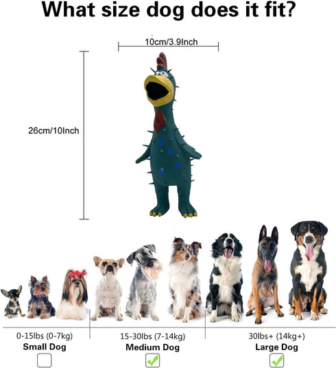 Hoiasem 2 Pack 10 Inch Latex Polka dot Burr Chicken Dog Toys that Oinks for Medium Large Dogs
