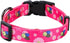 Rhea Rose Pink Dog Collar - Summer Daisy and Bees Print for Large Dogs