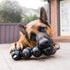 KONG Extreme Goodie Ribbon - Stuffable Dog Toy for Play, Chew Toy for Medium Dogs