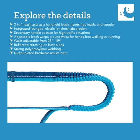 RC Pets Bungee Active Dog Leash, Hands-free 4-in-1 Dog Leash, Arctic Blue/Teal