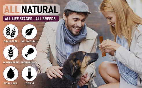 Premium Chicken and Sweet Potato 12 oz. Dog Jerky Treats | 100% Human Grade | High Protein | Grain Free