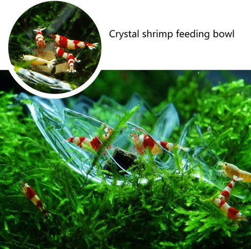 APGLSXY Stylish Leaf Design Acrylic Feeder Bowl for Shrimp Crabs and Small Fishtanks Pet