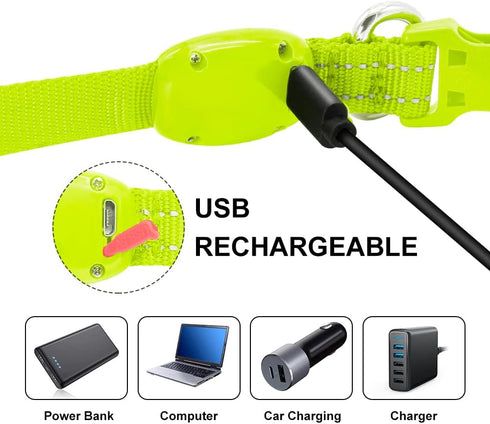 Reflective LED Dog Collar, Rechargeable Light Up Puppy Collar for Night Safety, Ideal as Lighted Cat Collar, X-Small,