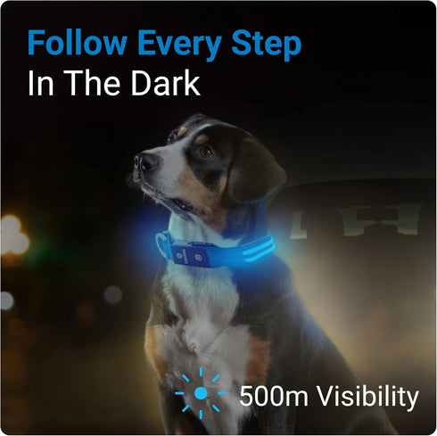 Tractive LED Light Up Dog Collar, USB Rechargeable Waterproof, Blue, Medium.