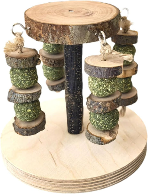 Genrico Gerbil Toys | Multifunctional Natural Wood Teether Treats - Gnawing Toys -