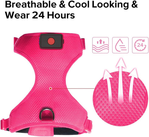Light Up Dog Harness, No-Pull LED Rechargeable Glowing Pet Harness for Night Walking & Camping, Hotpink
