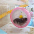 WishLotus Silent Hamster Running Wheel, Pink Exercise Toy for Dwarf Hamster, Cage Accessory for Golden Silk Shih Tzu