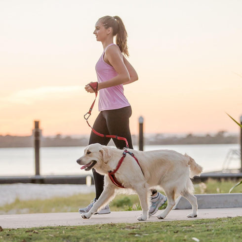 EzyDog Premium Handy Dog Leash, 15”, Red, Soft Neoprene Glove for Running or Jogging