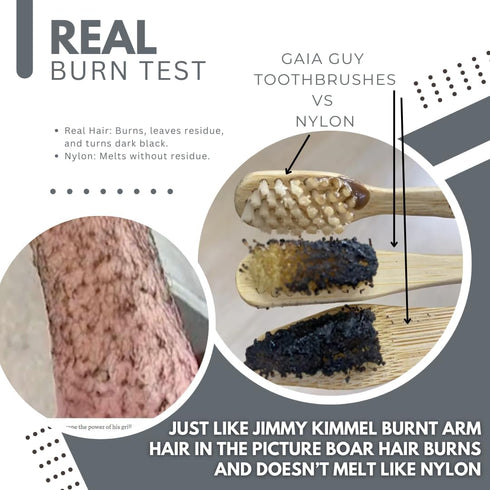 6-Pack Pet Toothbrush Bamboo & Boar Bristle | Natural, Biodegradable, Zero-Waste | for Dogs & Cats - Plastic-Free
