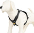 OllyDog Alpine Reflective Comfort Harness - No Pull Dog Harness with Reflective Trims, Ideal for Everyday Use (Medium,