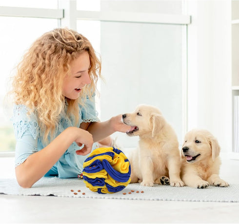 WishLotus Dog Snuffle Ball, Interactive Puzzle Toys for Dogs, Enrichment Game Feeding Mat Slow Feeder Stress Relief Toy