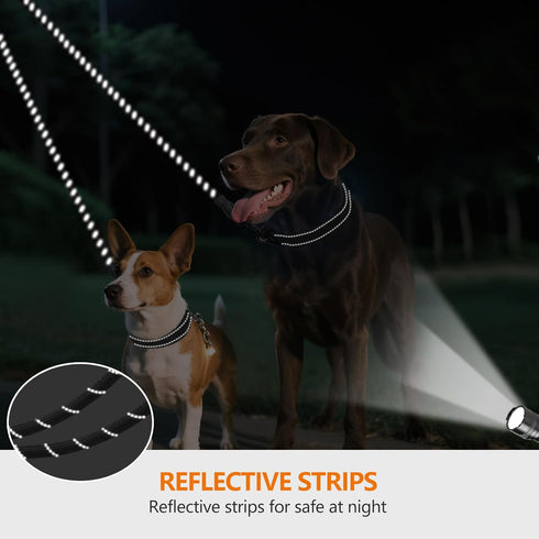 Taglory Double Dog Leash – Reflective Rope, No Tangle, Double Leash for Two Dogs, Puppy Small Medium Breeds, Black