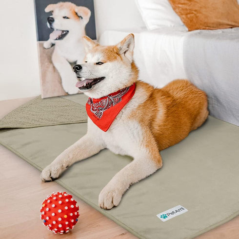 PetAmi Waterproof Dog Blanket for Small Medium Dogs, Pee Proof Reversible Fleece Blanket for Couch Bed, Washable, 29x40