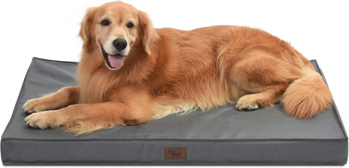 Outdoor Extra Large Dog Bed for Big Dogs, Waterproof XL Bed with Removable Washable Oxford Cooling Cover, Grey