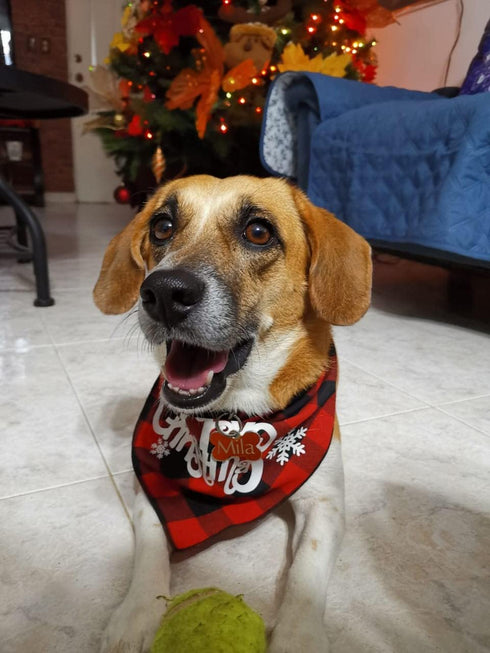 Dog Christmas Bandana Classic Buffalo Plaid Scarf, Triangle Bibs for Small Medium Large Dogs and Cats