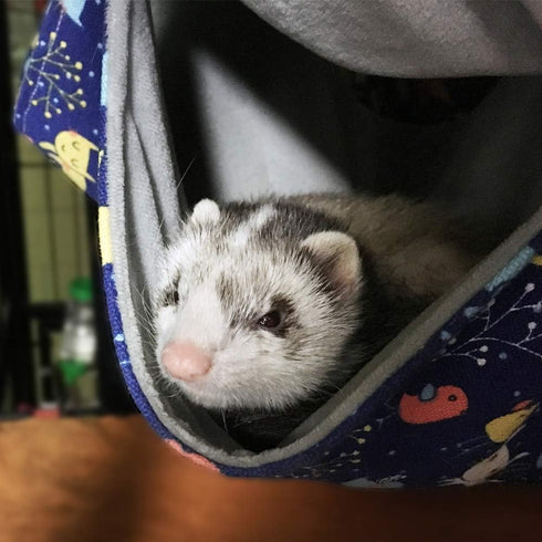 Ferret Rat Hammock Bed Nation Cage Accessories Kit Set for Guinea Pig Ferret, 13.8inch Hideouts Cave