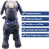 PET SHOW 10pcs Halloween Small Dog Bow Ties for Medium Dogs, Detachable Bowties with Elastic Bands