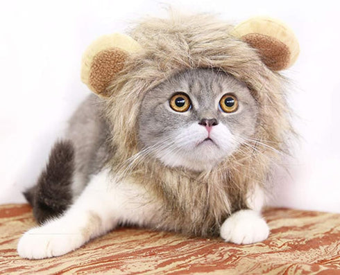 Halloween Cat Lion Mane Wig Costume - Adjustable Washable Funny Pet Puppy Dress Up Hat for Holiday Photo Shoots, Size L