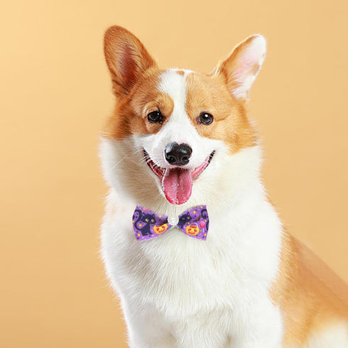100pcs Halloween Dog Bow Ties Bulk Adjustable Neckties for Small Medium Dogs, 25 Set Pumpkin Patterns for Party Holiday