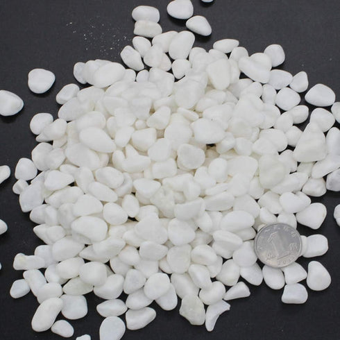 Aquarium Decorative Sands - White Gravel Pebbles for Aquariums & Terrarium Landscape, 2 Pounds
