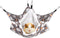 Petmolico Small Pet Warm Plush BunkBed Hanging Hammock Cage Accessories for Parrot