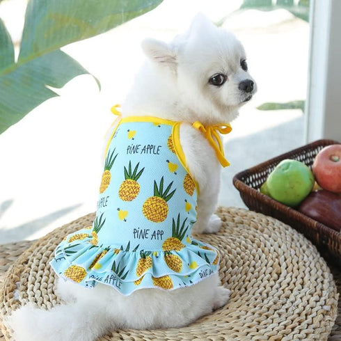 Pet Clothes, Summer Fruit Dog T-Shirt & Skirt Dress for Small Dogs & Cats (M-Back Length 30cm, Pineapple)