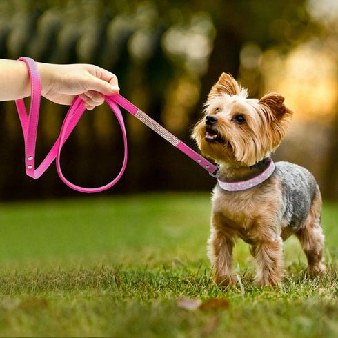 Rhinestone Bling Cute Bowknot Leather Dog Cat Collar & Leash Set for Small Dogs with Crystal Diamonds Studded