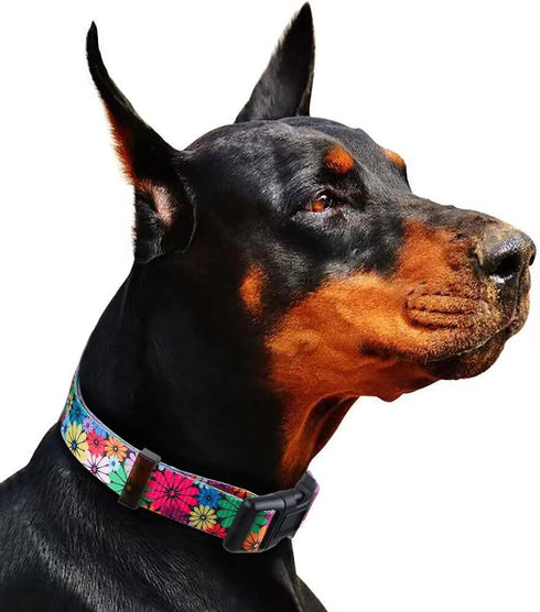 Rhea Rose Dog Collar for Small Dogs, Floral Pattern for Girl and Boy Dogs
