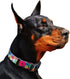 Rhea Rose Dog Collar for Small Dogs, Floral Pattern for Girl and Boy Dogs
