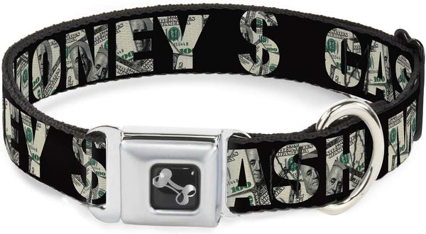 Buckle-Down Dog Collar with Cash Money Black Dollar Bills - Fits 9 to 15 Inches, 1.0 Inch Wide