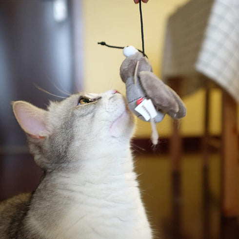 Gigwi Interactive Cricket Cat Toy, Automatic Squeaky Toy for Cats, Play and Squeak Electronic Cricket