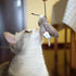 Gigwi Interactive Cricket Cat Toy, Automatic Squeaky Toy for Cats, Play and Squeak Electronic Cricket