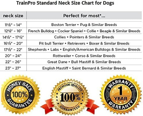 Replacement ¾” Collar Strap Bands with Double Buckle Loop for All Brands of Pet Shock Bark e Collars and Fences.