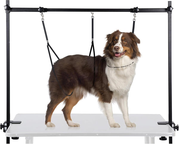 H-Shape Dog Grooming Arm with Clamp, 33" Height Adjustable and 38" - 50" Width for Small/Medium/Large Dogs