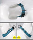 Creation Core Reflective Dog Collar with Ring - Breathable Mesh Soft Padded Adjustable Nylon Pet Collar 0.8" Wide, Blue