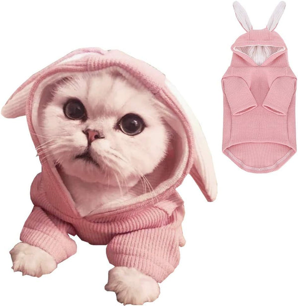 ANIAC Dog Hoodies Sweatshirt with Bunny Ears, Spring Puppy Clothes for Small Dog Girl Boy, Soft Sweater (Large, Pink)