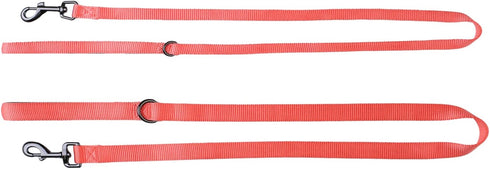 4 Feet Dog Leash with Padded Handle | Sturdy Nylon Leads for Small Medium Large Dogs Walking, Training, Hiking (Living