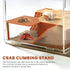 Rinelavie 3 1 Hermit Crab Underground Hideout Cave Corne in Multiple Shape Hermit Crab Climbing Accessories Hide
