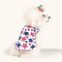 CuteBone 4th of July Dog Shirts 2-Pack, Soft Pet Clothes, Breathable Summer Vest for Small Puppy and Cat Apparel