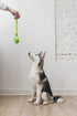 Dog Training Ball on A Rope, Rubber Dog Rope Toys Ball with Handle for Tug of War K9 Training Rewards for Small Dogs