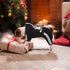 Dog Hoodie, 4 Legs Sweatshirt Jumpsuit, Soft & Warm Pullover Coat for Small Medium Large Dogs Cats (Black, XS)